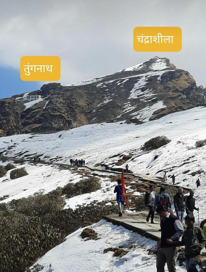 Pandava'S Cafe & Stay Chopta Экстерьер фото